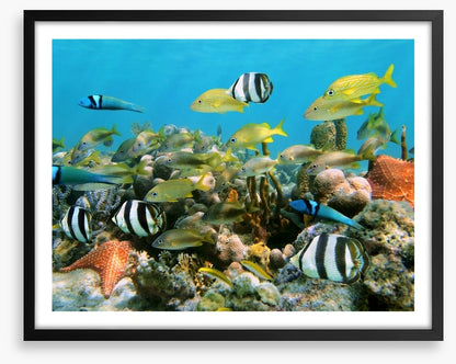Underwater
