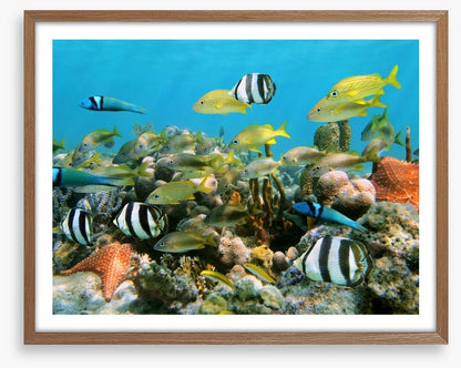 Underwater