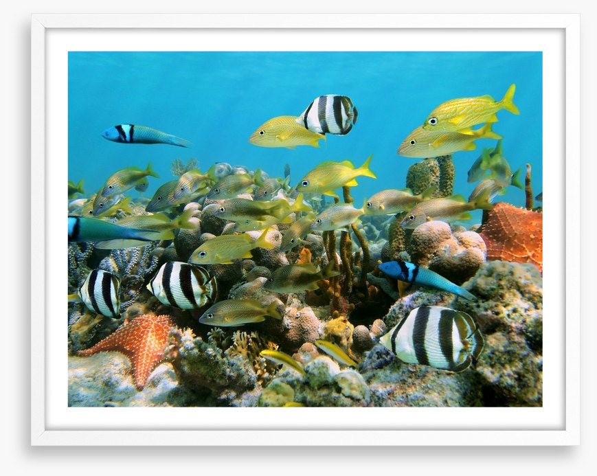Underwater