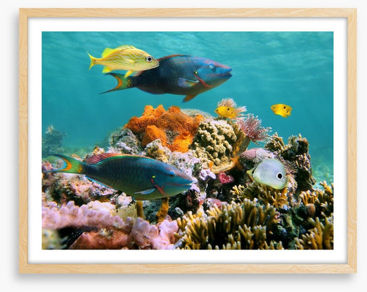 Underwater