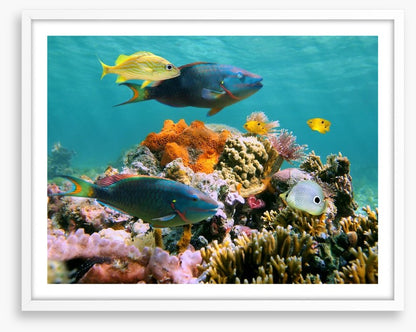 Underwater