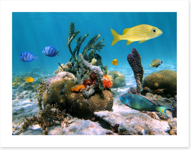 Underwater