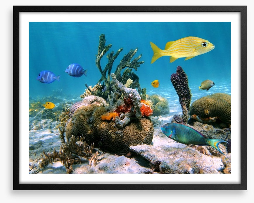 Underwater