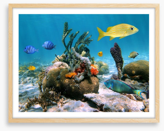 Underwater
