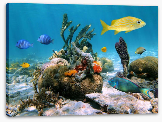 Underwater