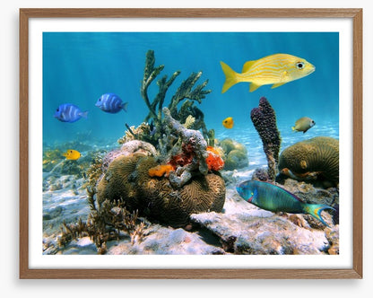 Underwater