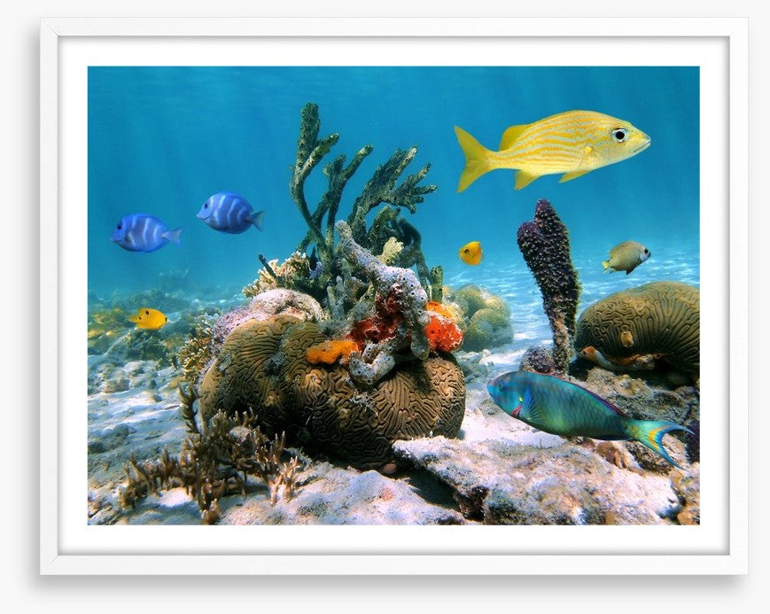 Underwater