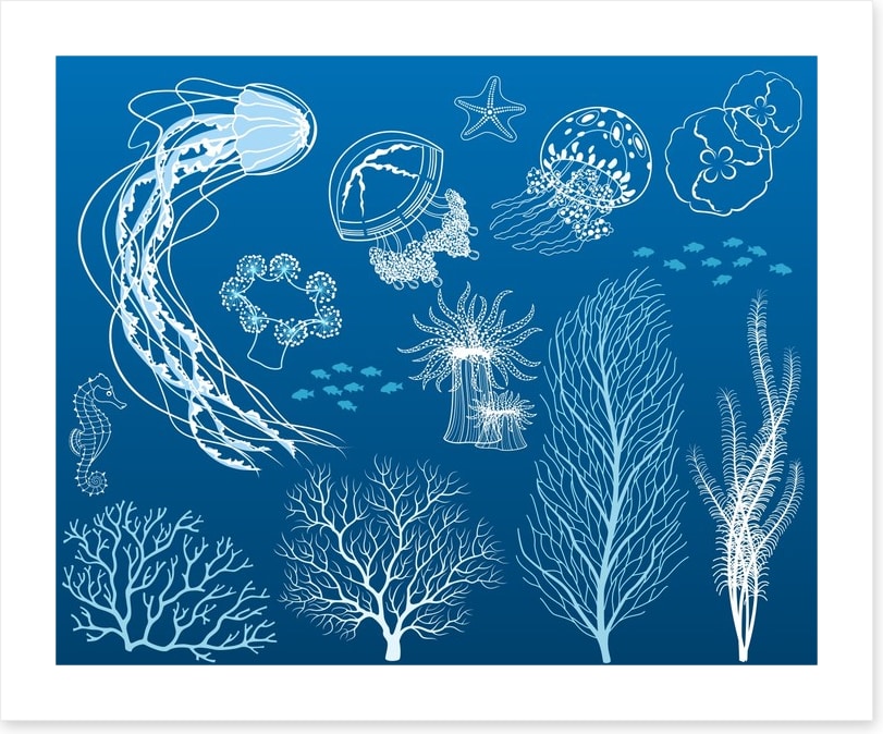 Dance of the jellyfish
