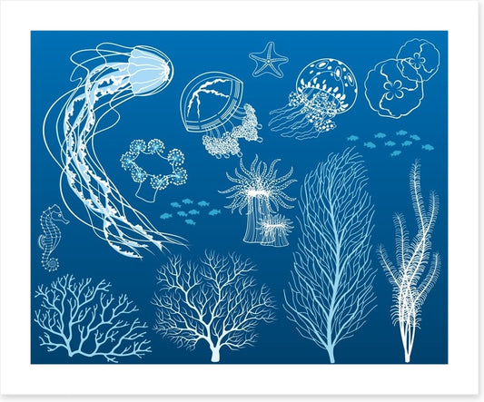 Dance of the jellyfish