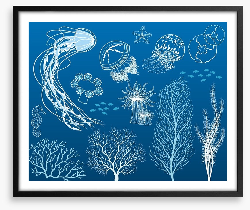 Dance of the jellyfish