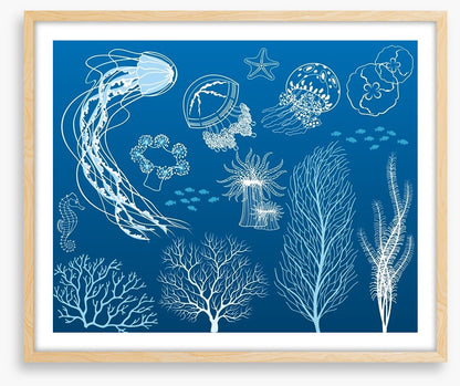Dance of the jellyfish