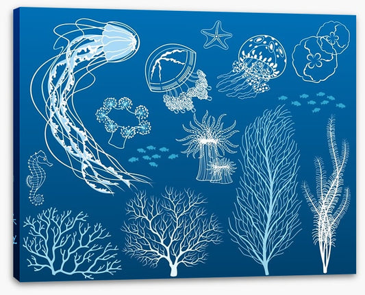 Dance of the jellyfish