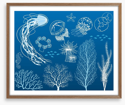 Dance of the jellyfish