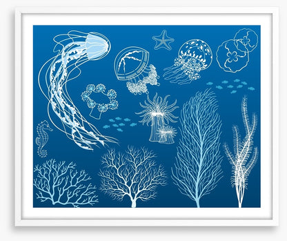 Dance of the jellyfish