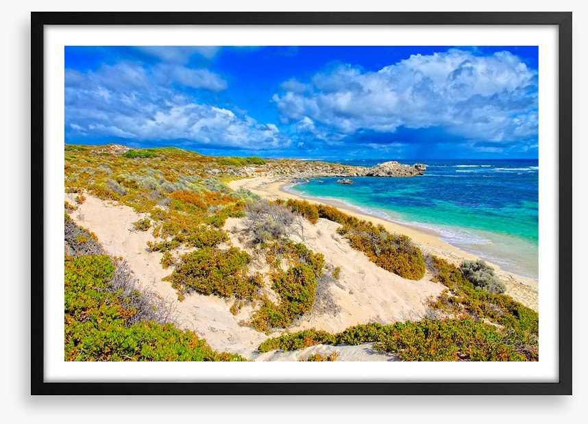 Rottnest island blues