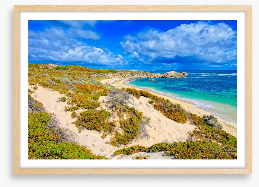 Rottnest island blues