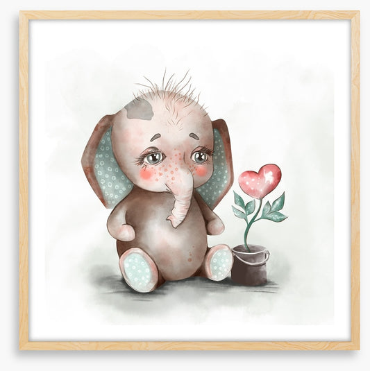 Growing love