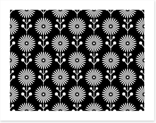 Black and White
