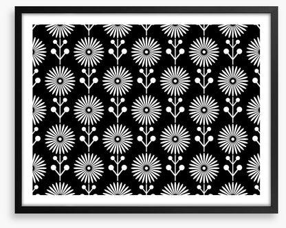 Black and White