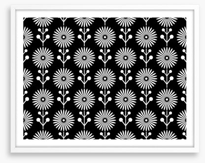 Black and White