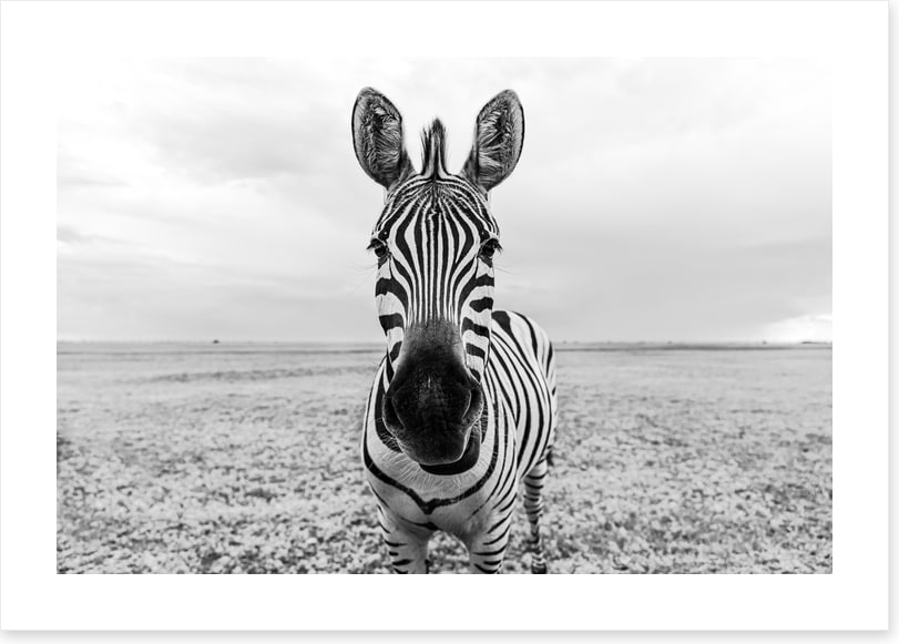 Face to face