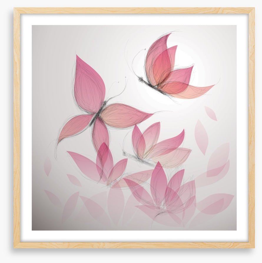 Butterfly flowers