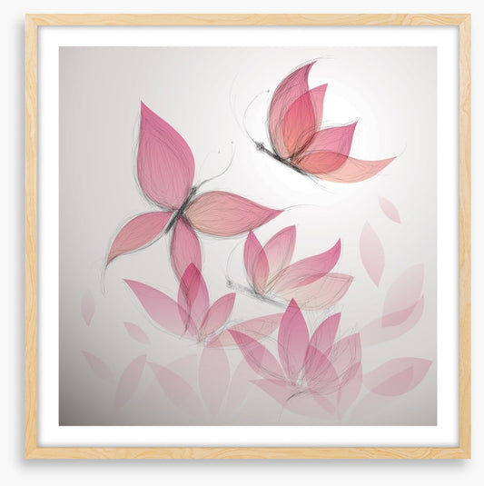 Butterfly flowers