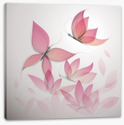 Butterfly flowers
