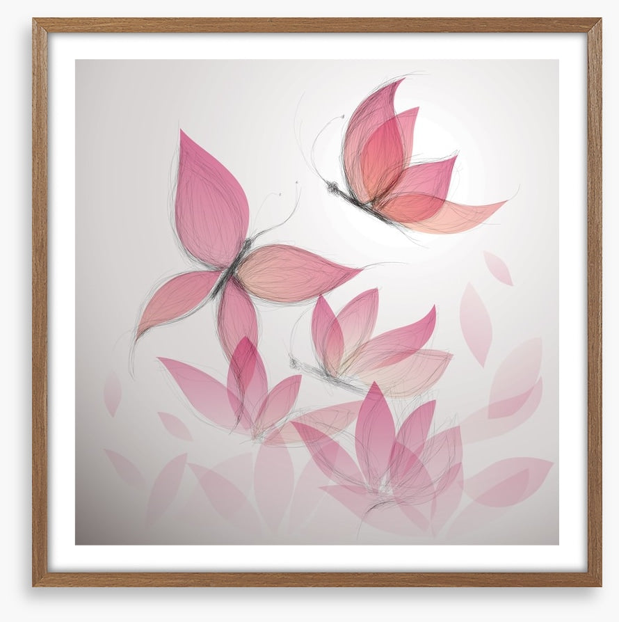 Butterfly flowers