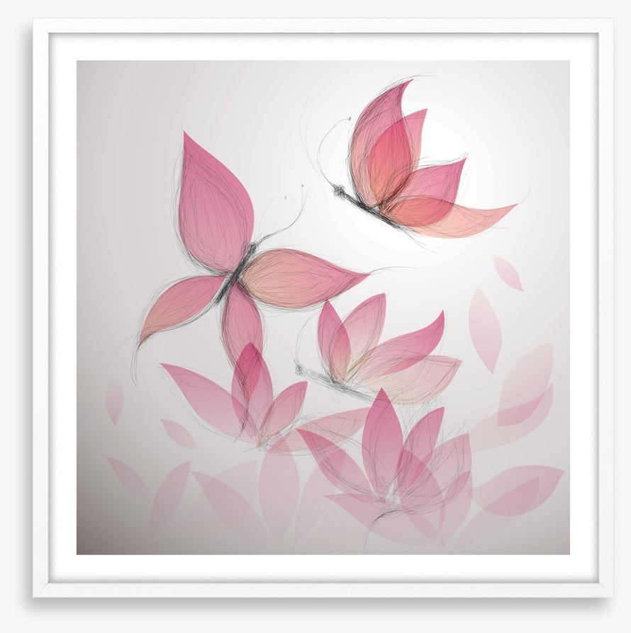Butterfly flowers