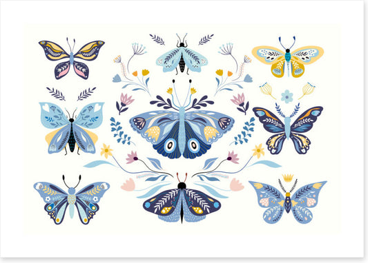 Butterfly blooms