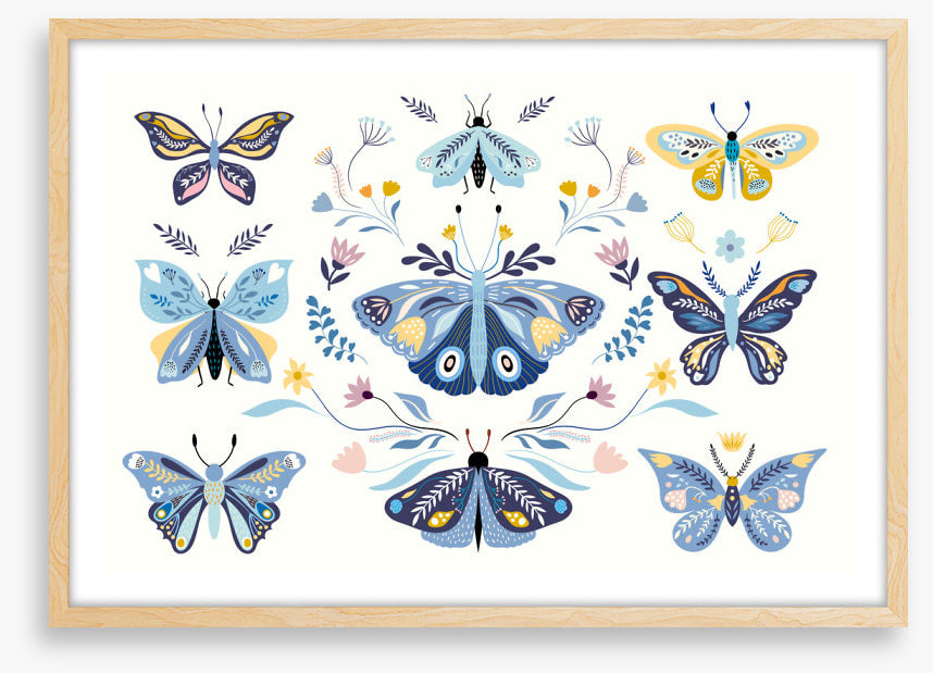 Butterfly blooms