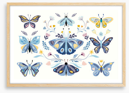 Butterfly blooms