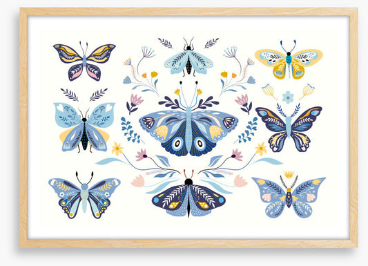 Butterfly blooms