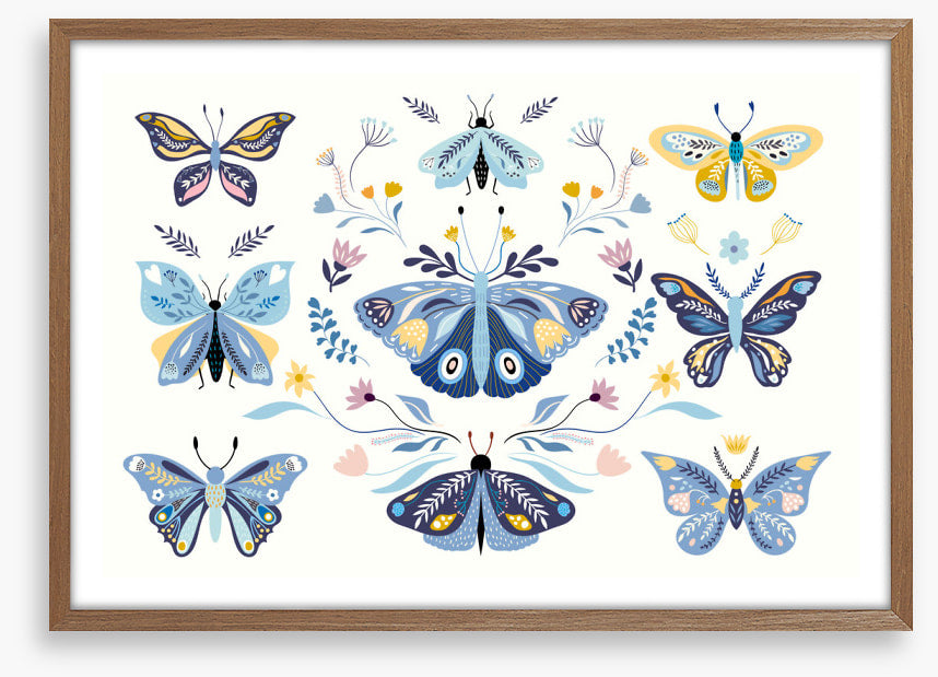 Butterfly blooms