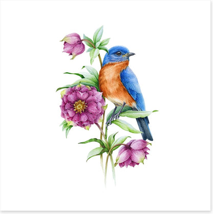 Birds