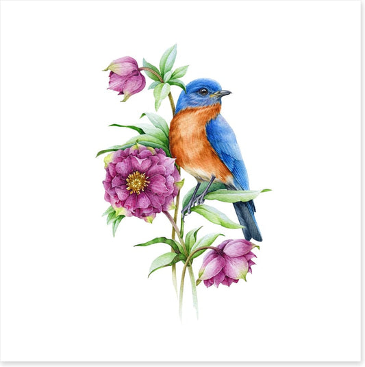 Birds