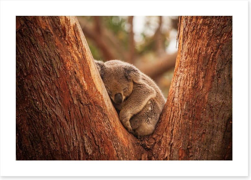 Snuggled in