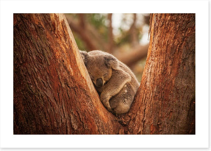 Snuggled in