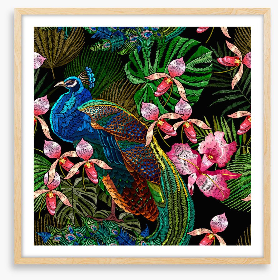 Peacock in the orchids