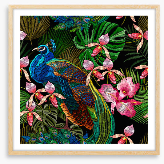 Peacock in the orchids