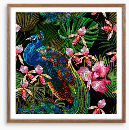 Peacock in the orchids