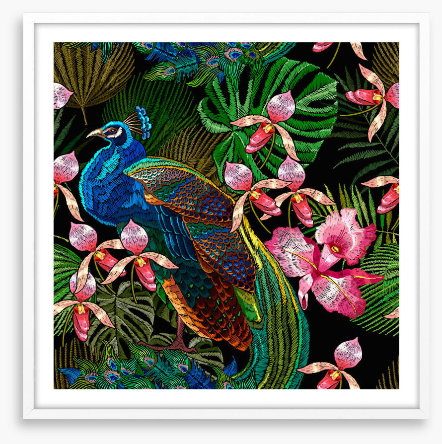 Peacock in the orchids
