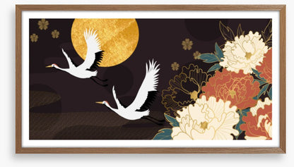 Peony flower flight
