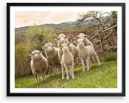 On pasture