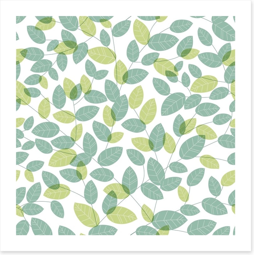 Soft leaves