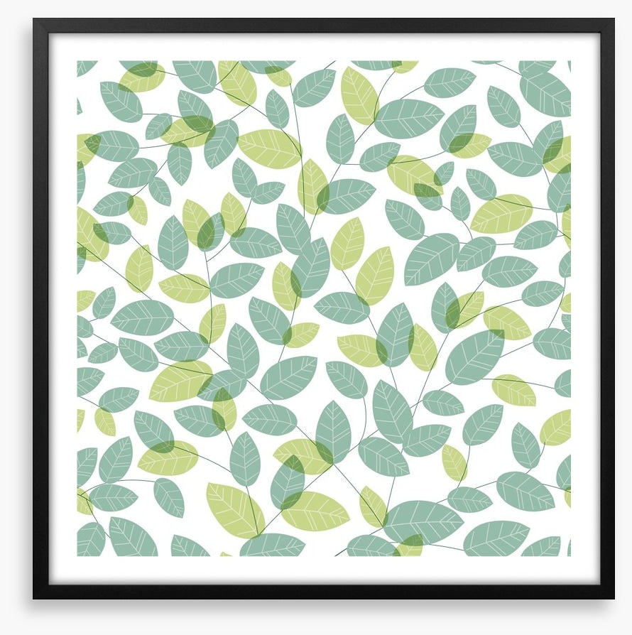 Soft leaves