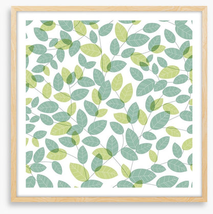 Soft leaves