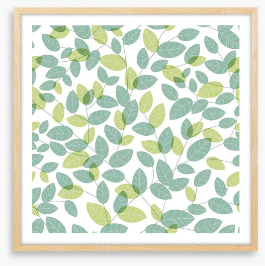 Soft leaves