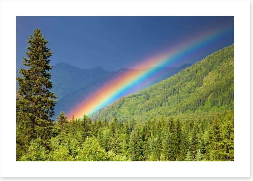 Rainbows